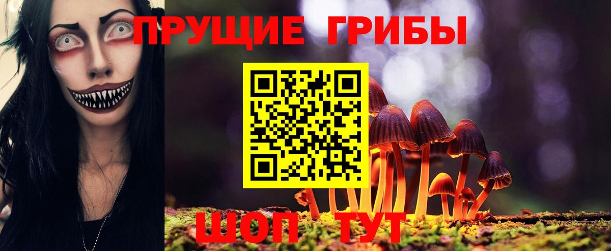 Псилоцибиновые грибы Psilocybine cubensis  Вход с VPN  Новороссийск 